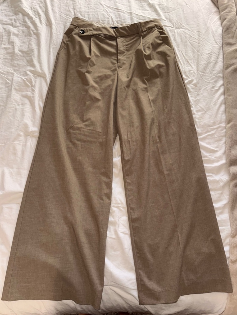 Zara Wide-Leg Dress Pants in Taupe